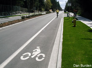 designated bike lanes